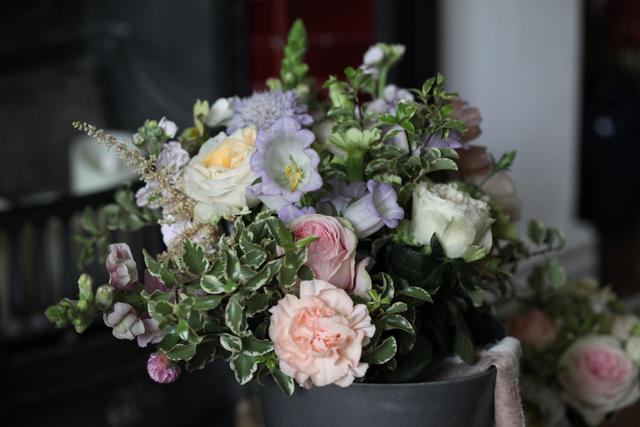 Somerset Blooms - 1