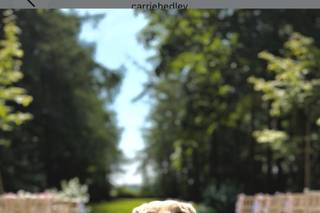 Wagging Tails Weddings - Pet Chaperone - 5