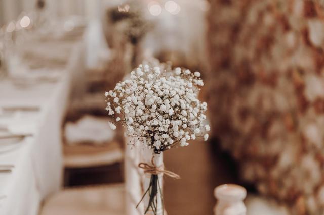 Flowers in Bloom Ltd - 4