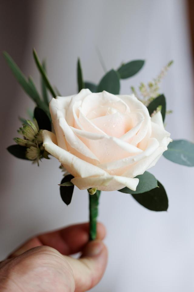 In Bloom Brighton - 2