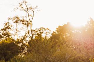 Philip Quinnell Photography - 3