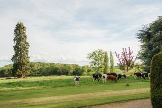 Broadfield - 6