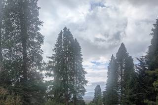 Briery Wood Country House - 5