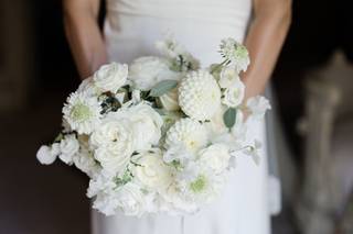 Frankie Lane Flowers - 17