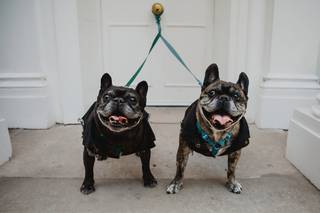 Woofs and Weddings - 5