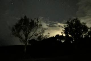 Frieda And The Moon - 31