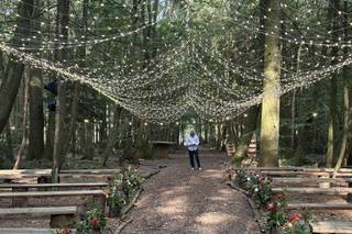 Longton Wood - 6