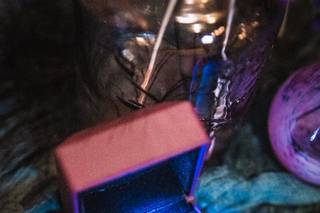 Luna Photography - 5