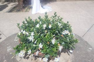 Isabella Grace Bridal - 6