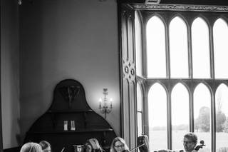 Bowfiddle Strings - 8