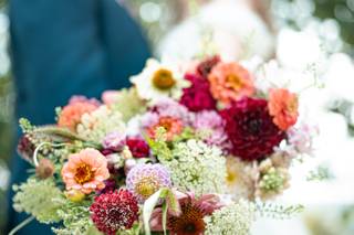 Carl James Photography - 7