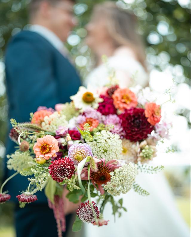 Carl James Photography - 2