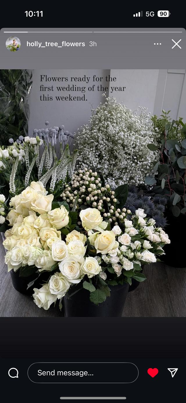 Flowers by Holly Tree - 3