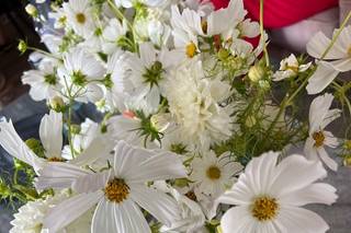 Mamas That Flower - 7