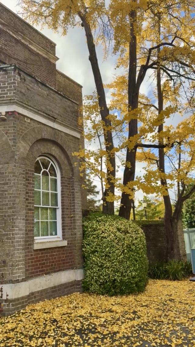 Morden Park House - 2