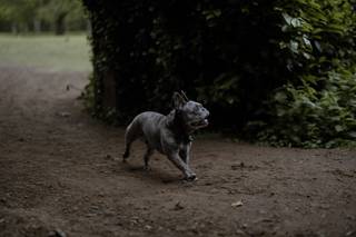 Lewis Hiorns Photography - 10