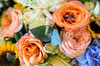James Polley Photography - 12