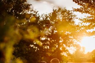 Pure Image Photography - 12