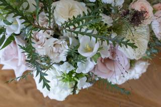 Rose & Carter - 5