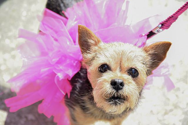 Jays Photography - 3