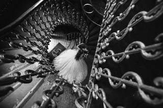 Soul Photography - 8