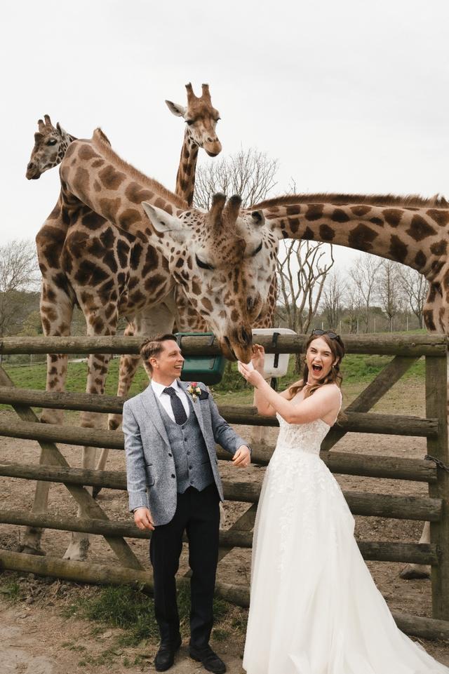 Port Lympne Hotel & Reserve - 2