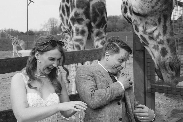 Port Lympne Hotel & Reserve - 3
