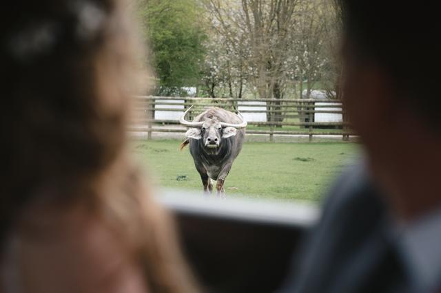 Port Lympne Hotel & Reserve - 4