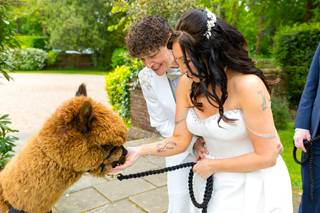 Grainmarket Alpacas Ltd - 7