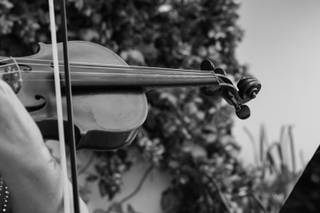 Violin By Abigail - 5