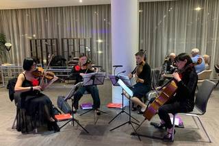Bowfiddle Strings - 9