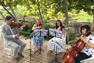 440 String Quartet - 8