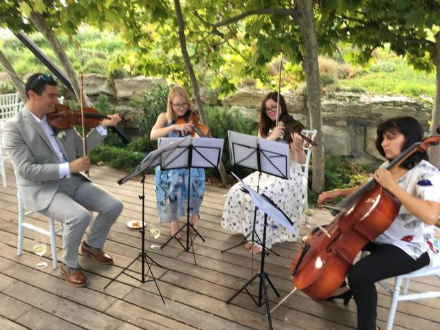 440 String Quartet - 3