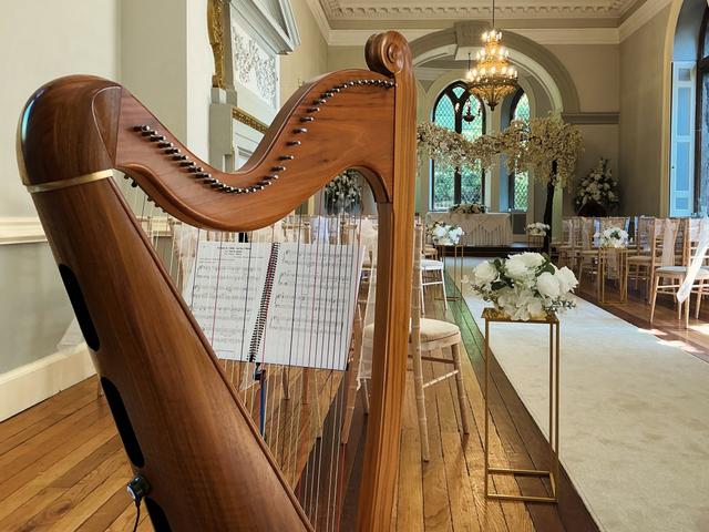 Anna Purver Harpist - 3