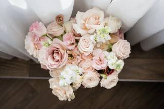 Vista & Bloom - 5