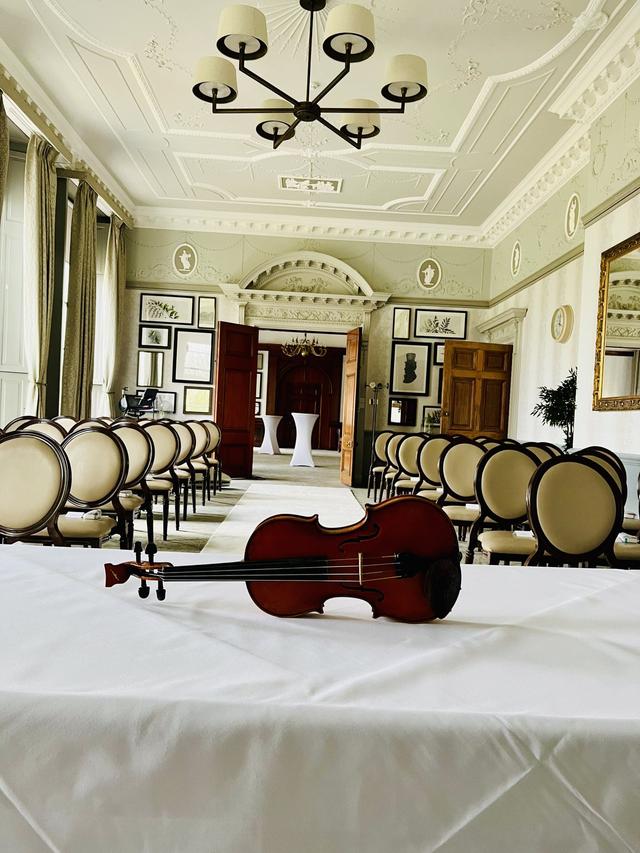 Eloise Violinist - 3