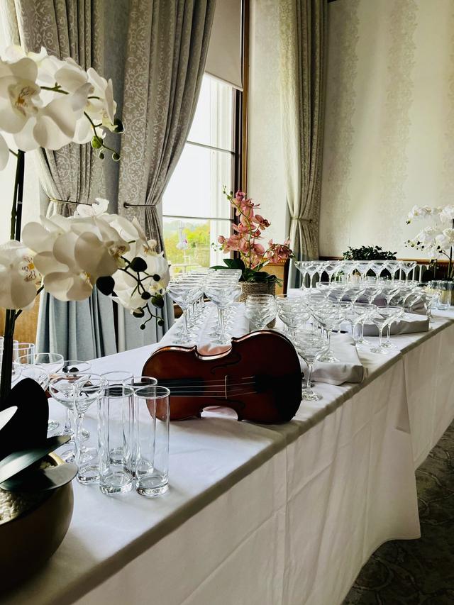 Eloise Violinist - 4