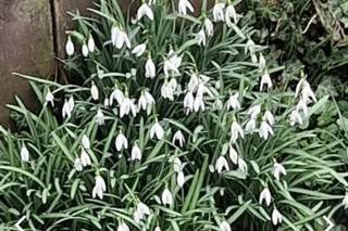 Wentbridge House Hotel - 10