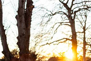 The Studio at Cranford Hall - 8