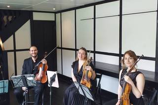 Camilli String Quartet - 4