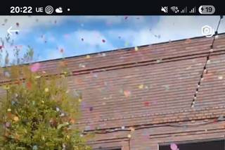 Mickey Luke Weddings & Events - 1