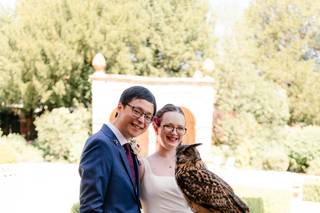 Apollo Falconry - 6