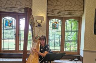 Jill Reynolds Harpist - 6