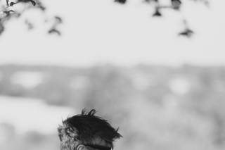George Brown Photography - 7