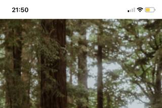 Makeup By Charley Bp - 10