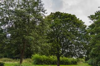 Horam Manor Farm - 2