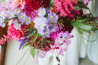 Tiger Lily Flowers - 7