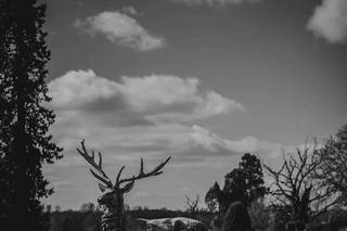 Fraser Parry Photography - 13