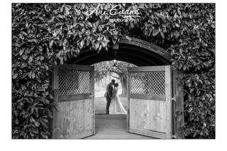 Ani Evans Photography in Rugby, Warwickshire - Updated prices ...