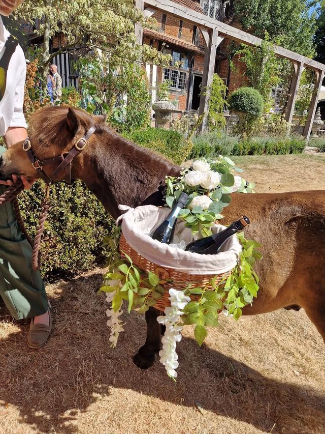 Mini Moments Ponies - 3